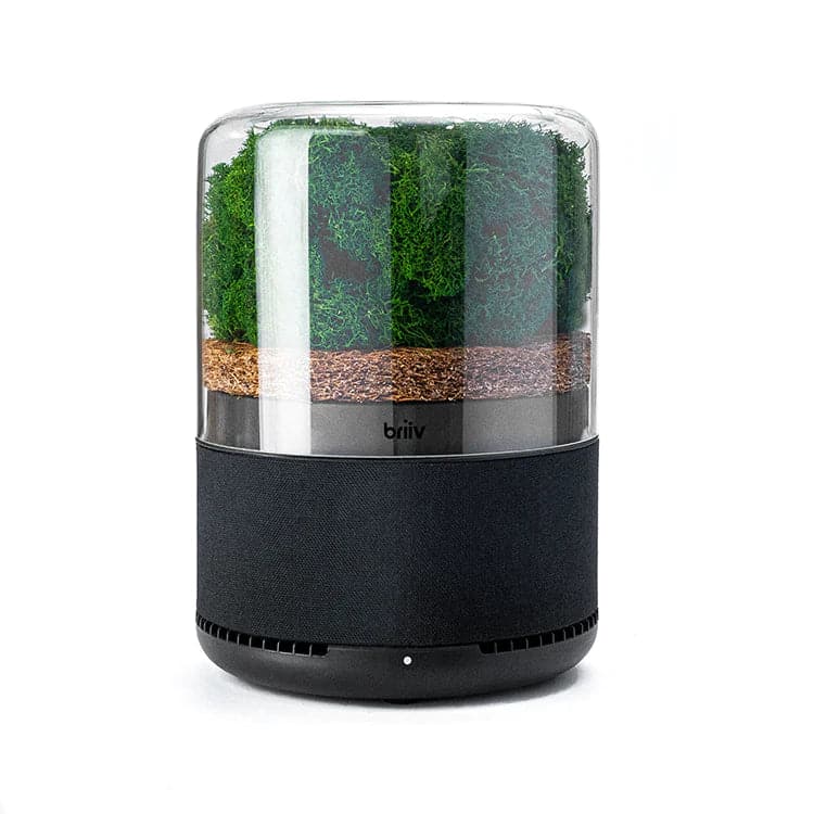 Briiv Air Purifier